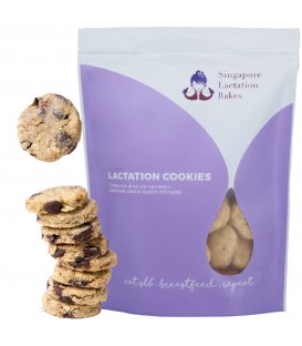Singapore Lactation Bakes- Dark Chocolate Chips Lactation Cookies 450g
